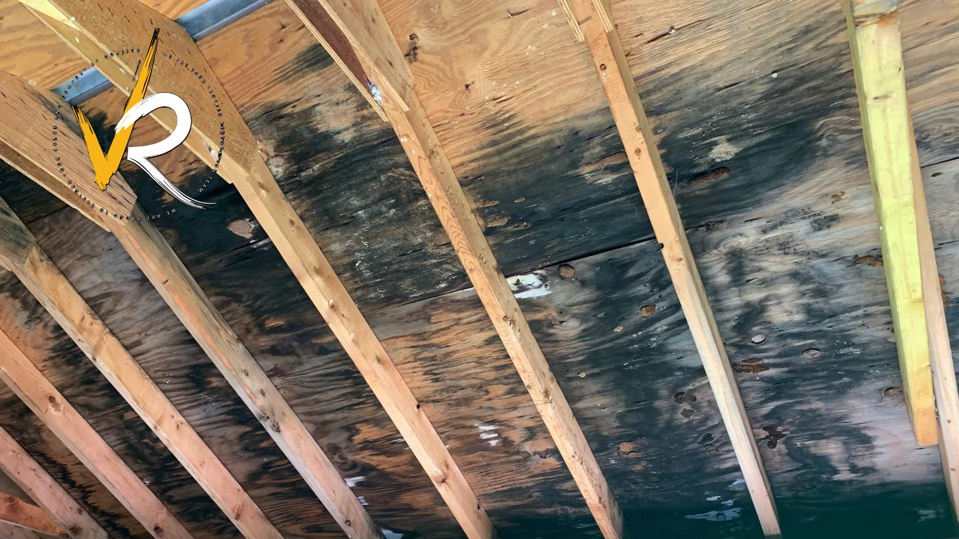 Mold and moisture staining on attic roof sheathing