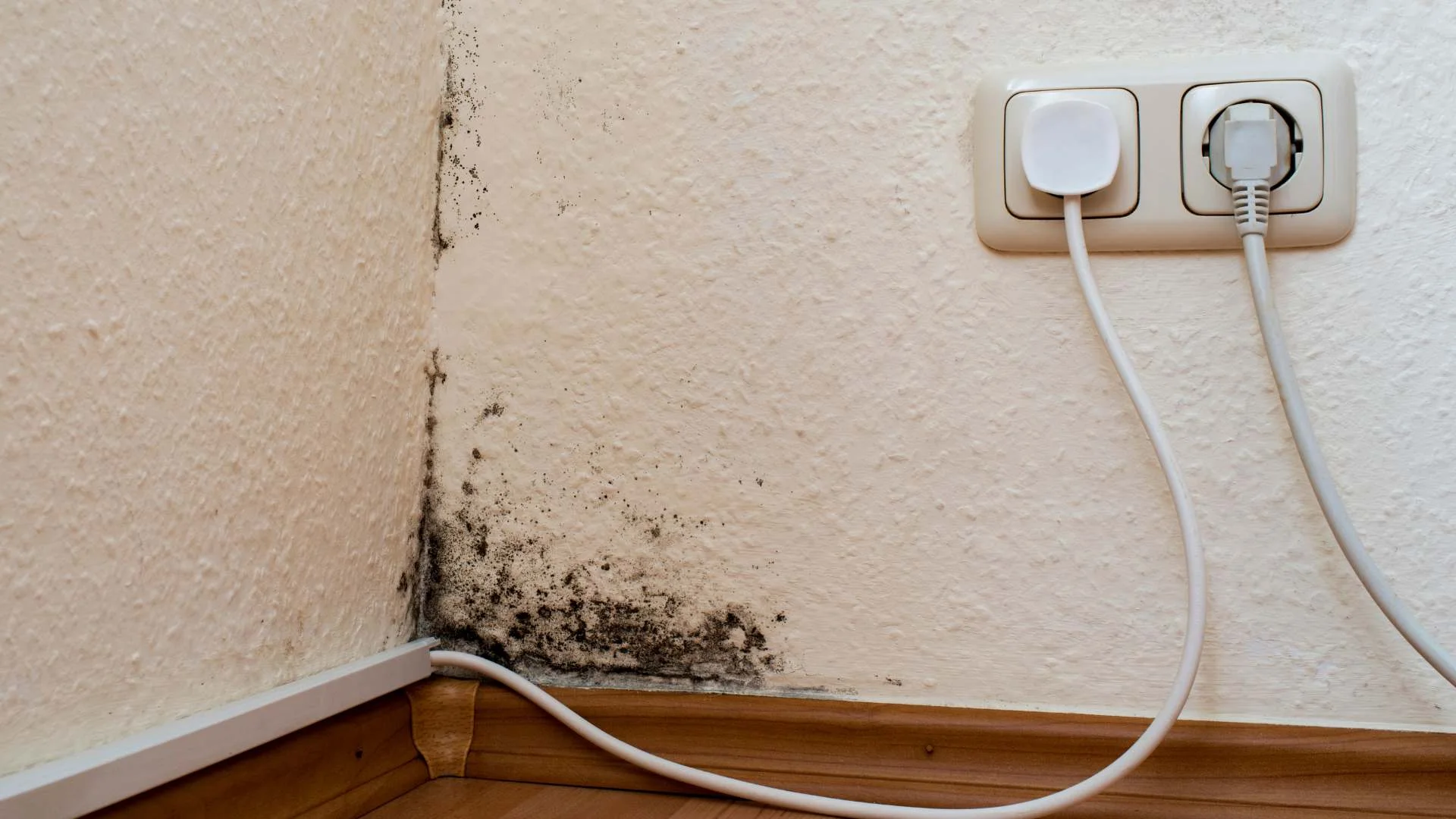 Mold growth in the corner of a West Vancouver room