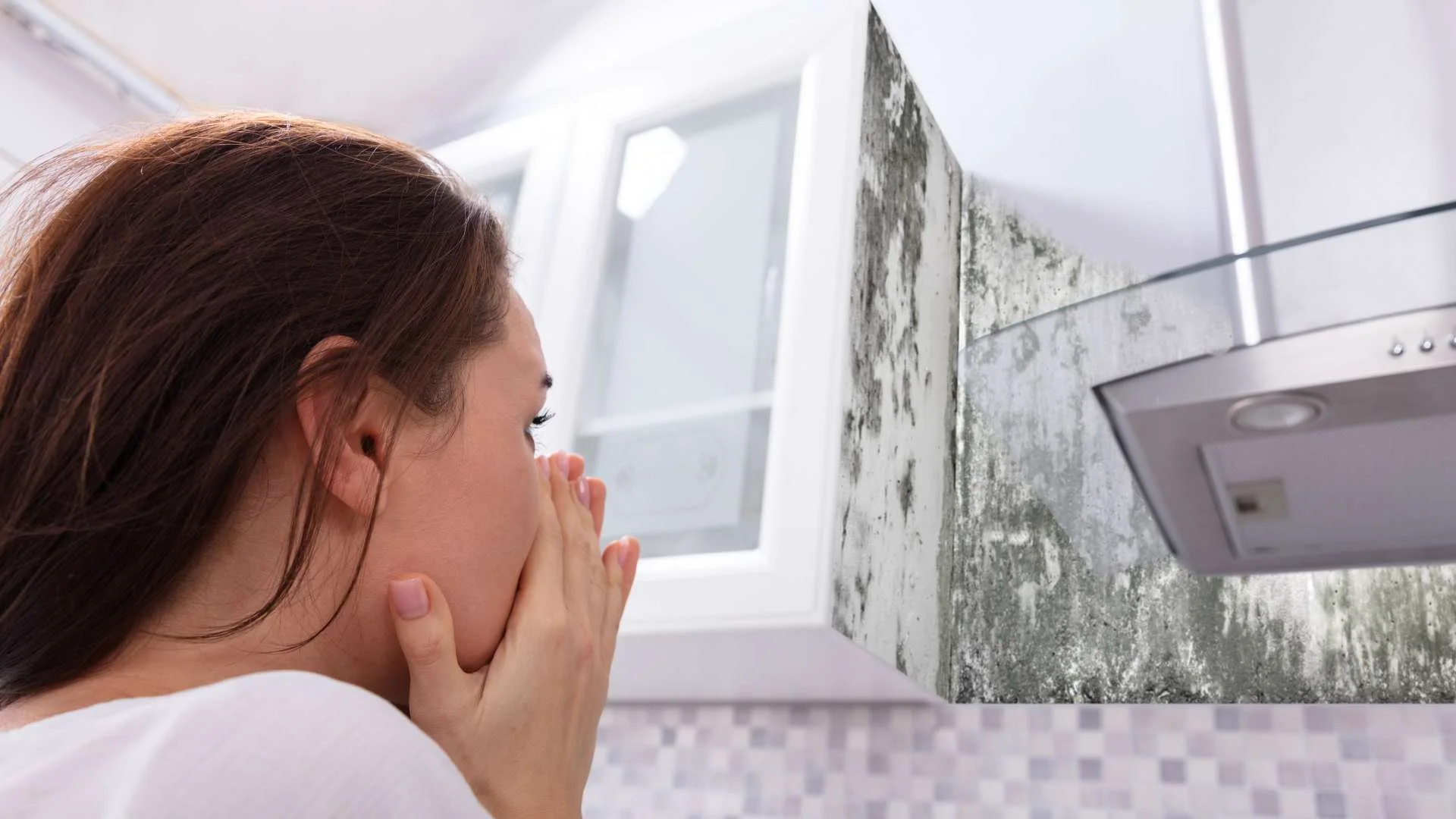 Moisture and mold concern inside a condominium kitchen